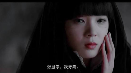 呆萌杀手萌宠猫咪图片壁纸